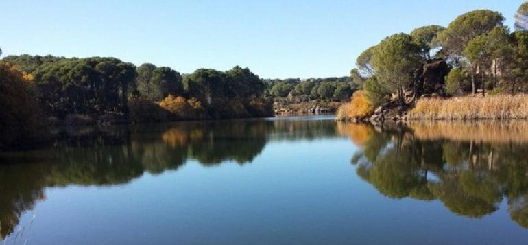 Villa Aljaral, Espectacular,Piscina,Chimenea, Climatizacion, Wifi Cordoba Luaran gambar