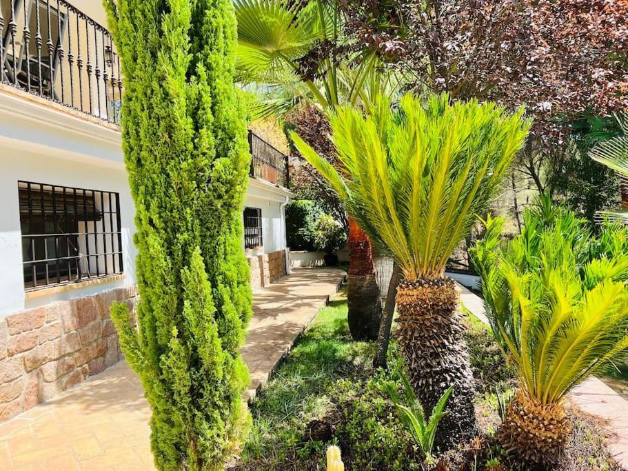 Villa Aljaral, Espectacular,Piscina,Chimenea, Climatizacion, Wifi Cordoba Luaran gambar