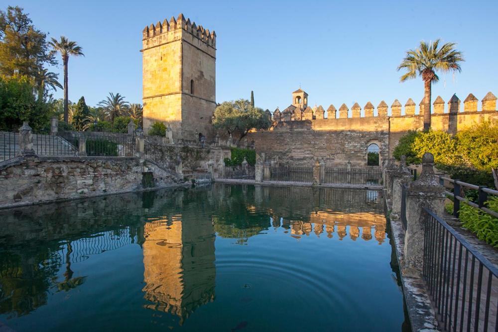 Villa Aljaral, Espectacular,Piscina,Chimenea, Climatizacion, Wifi Cordoba Luaran gambar