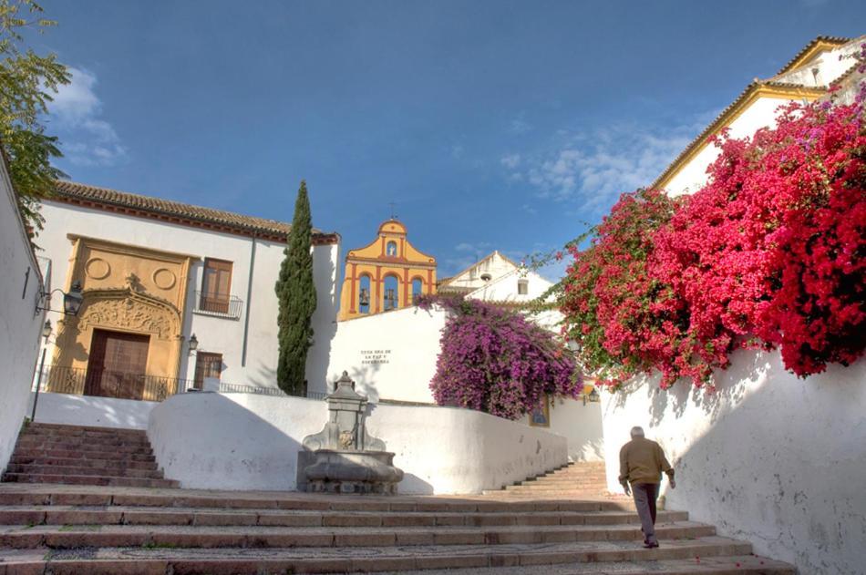 Villa Aljaral, Espectacular,Piscina,Chimenea, Climatizacion, Wifi Cordoba Luaran gambar